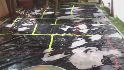 Fun slippery game