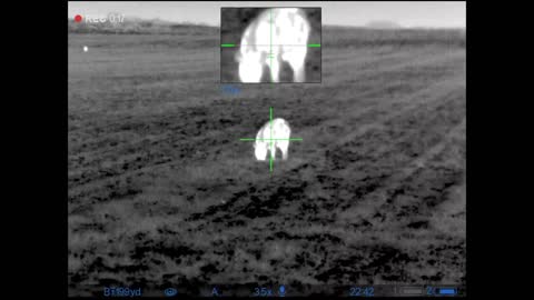 2021-2022 Thermal pig hunting