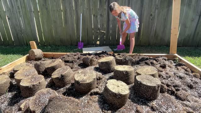 Gardening made easy - Tips on How to break up dirt