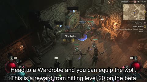 Diablo 4 Wolf Pup