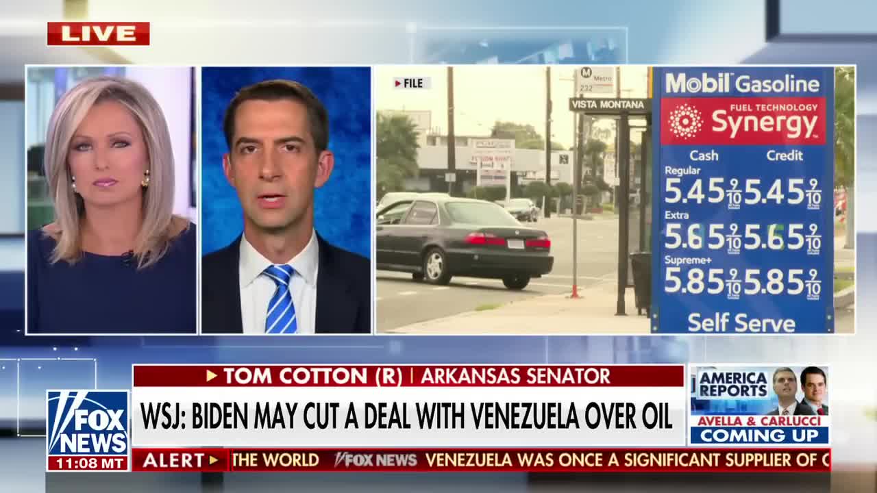 Dictators can 'smell the weakness' from Biden - Tom Cotton