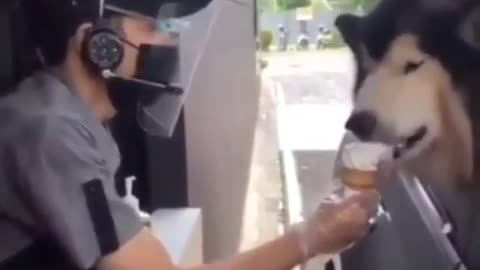 My best moment 😋🍦