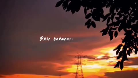 Dekha hazaro dafa aapko | lyrics status video | love| #lyrics #aesthetic #music #love #calm #shorts