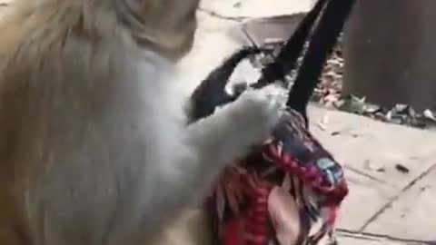 Funny cute ❤ dogs 🐶 and cats 🐱 part 15