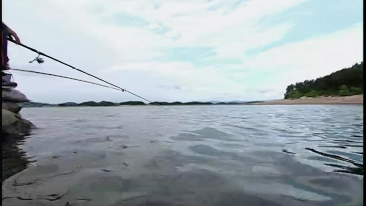 野钓全攻略2