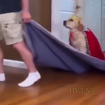 Anti-Loosh Video Number 135. LOOSH is real and bad. Explained below and watch the video