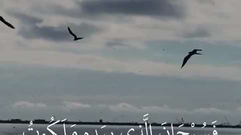 Surah-yaseen tilawat with english translation