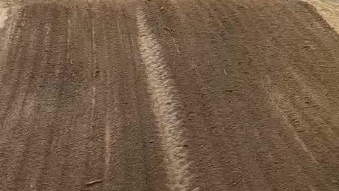 CaCTuS RoCK minibike park