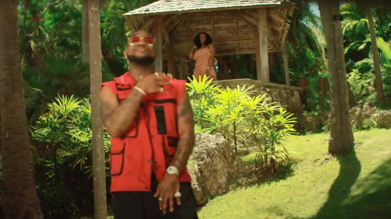 Davido - Assurance (Official Video)
