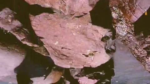 Goa bech india most beutiful place