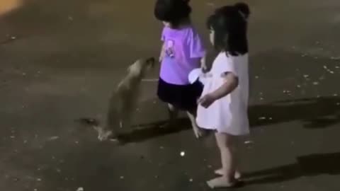 Girl who dares to dog