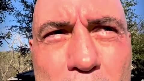 Joe Rogan Breaks Silence, DESTROYS 'Misinformation' Allegation
