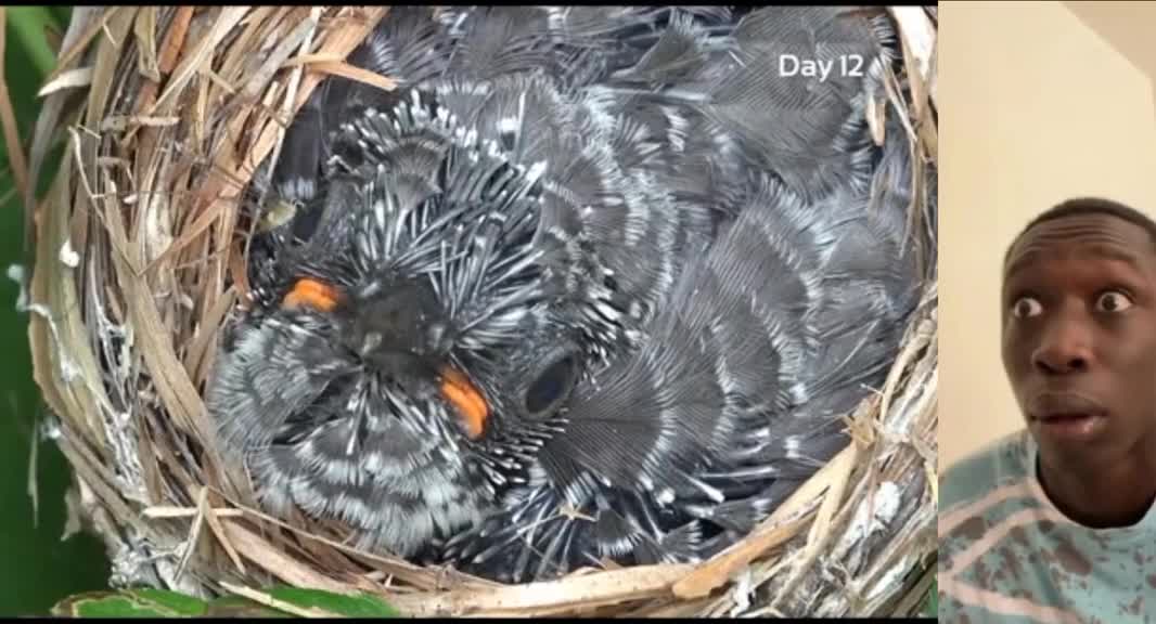 Happy every moment video5