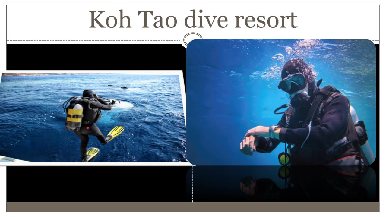 Why Are Dive Courses Crucial For Aiming Scuba Divers?