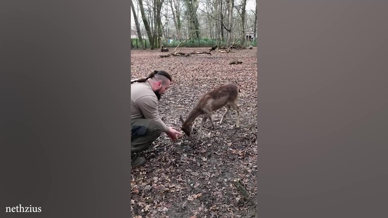 When Animals Are Always Excited To See His Human Best Friend _ Cute Animal Videos