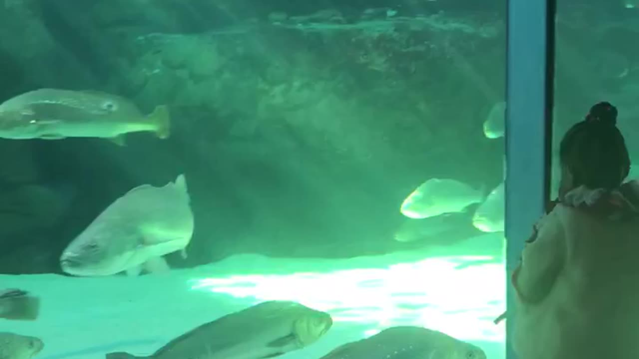 “My first time at the Two Oceans Aquarium in Cape Town.