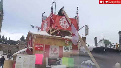 Ottawa is not giving up!