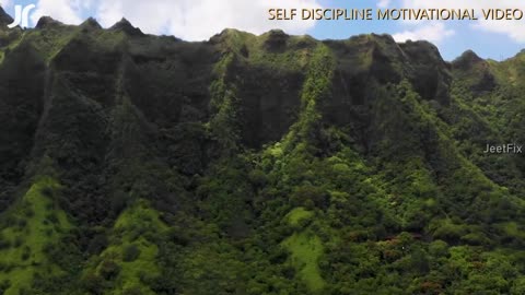 DISCIPLINE