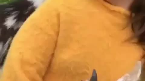 babab funny goat voice 😅