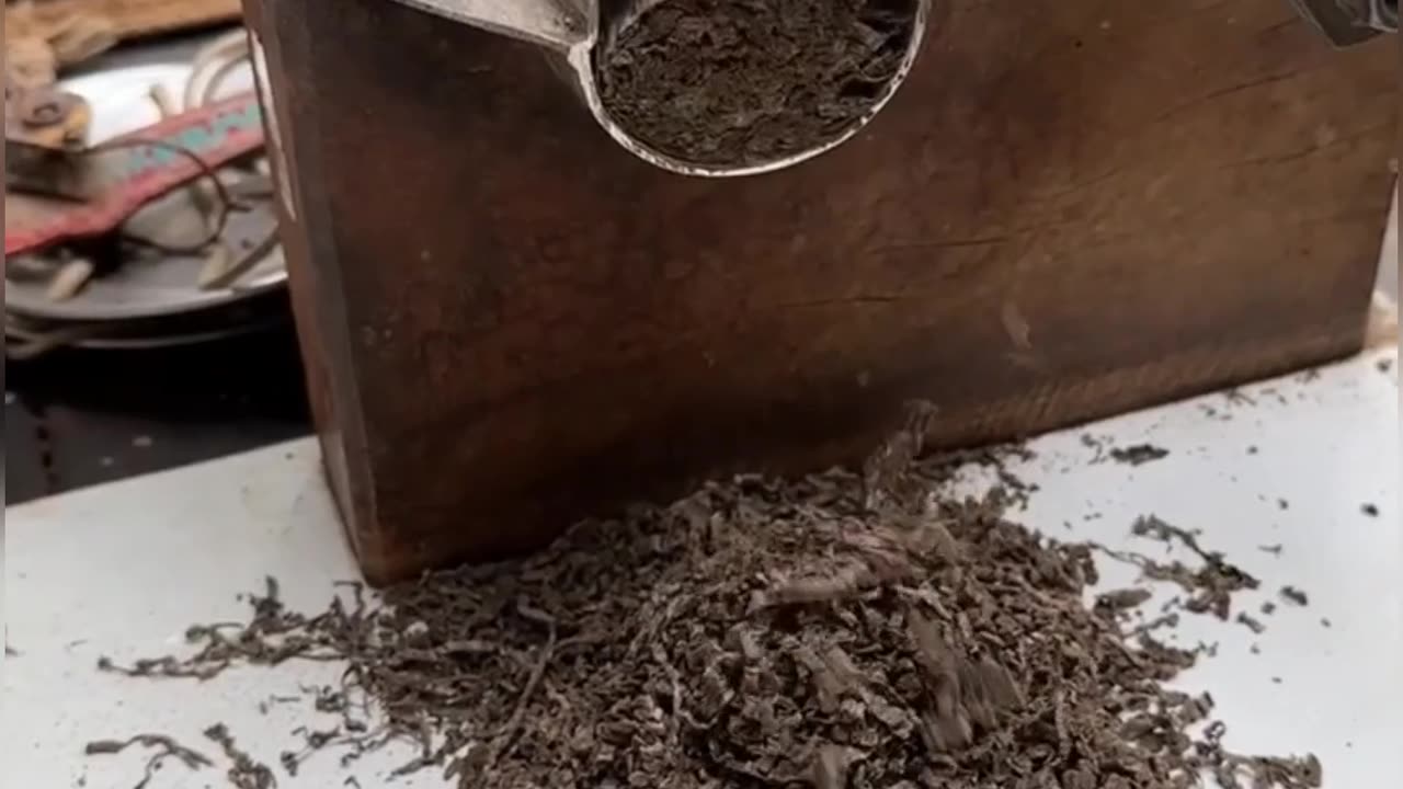 The Tradition of Indian Tobacco