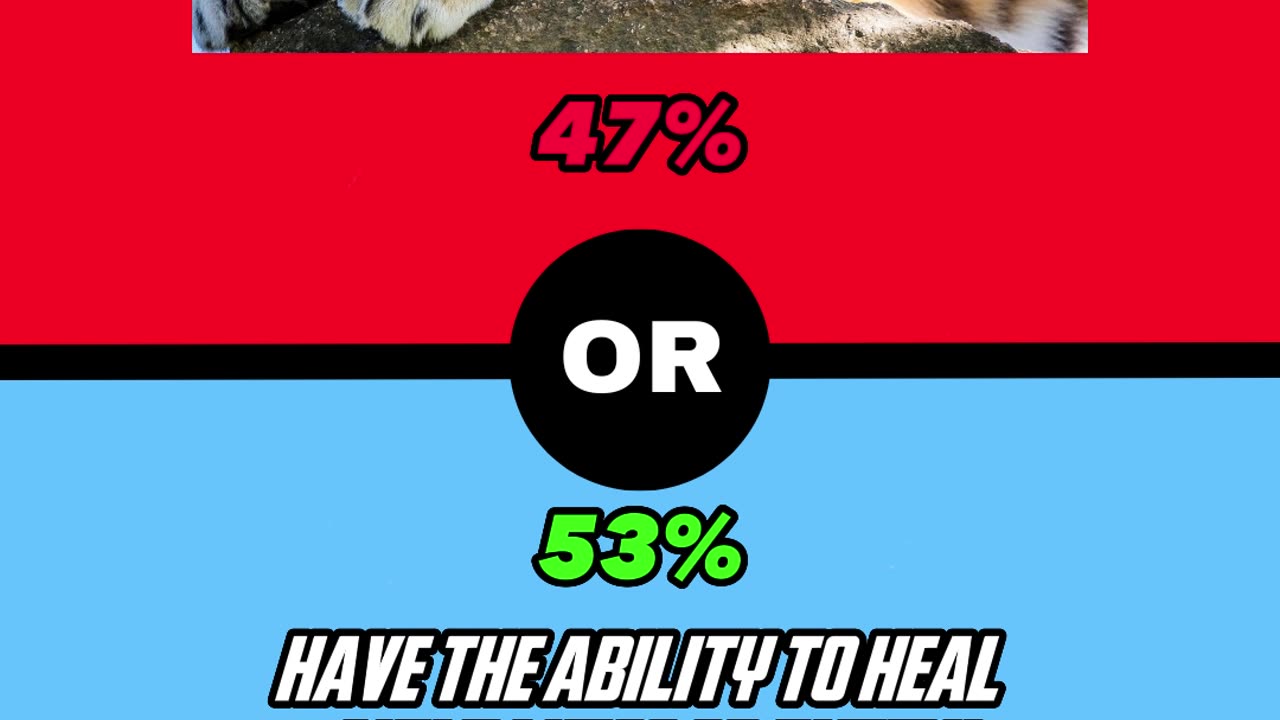 Would you Rather #wouldyourathergame