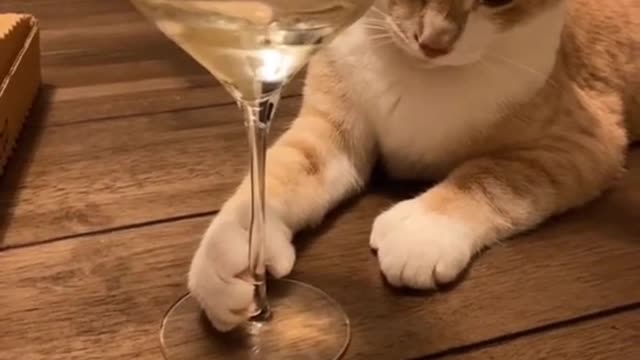 I just want to drink some