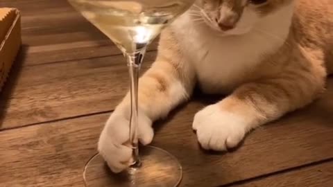 I just want to drink some