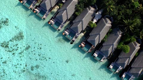 Maldives