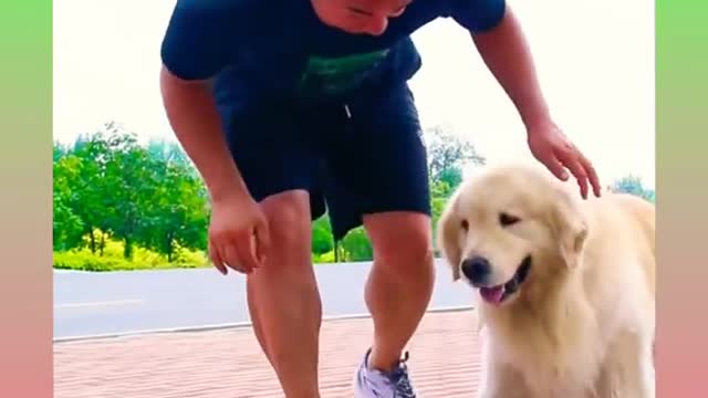 Cute and smart dog funny videos funny moments #rumble #funnyvideo #trending #cutedog
