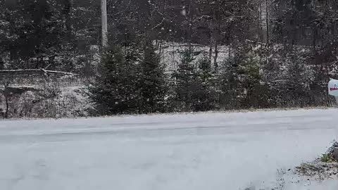 Blizzard Alert: Latest Update On December 4th, 2024 Snowstorm At 11:30am