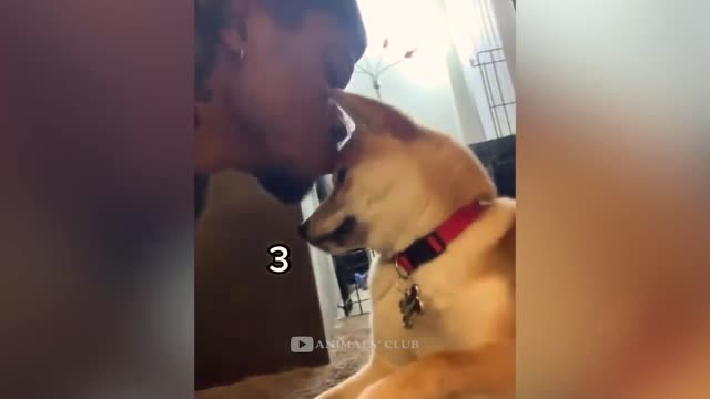 Best funny moments video_part 003