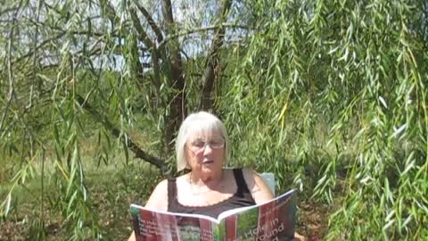 Tales from under the trees