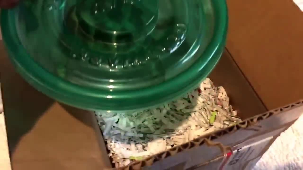 Baby Tortoise unboxing!