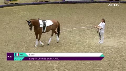 Manon Moutinho is the new WORLD CHAMPION | ECCO FEI World Championships 2022