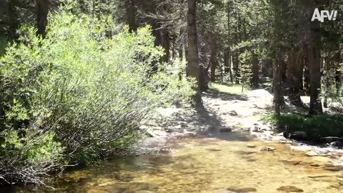 FUNNY FALL VIDEO