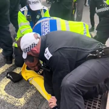 Police attacked by Palestine Hamas supporters at rally in central London