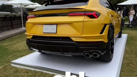 Revving A Lamborghini With The CEO