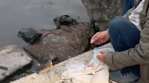 Humanity