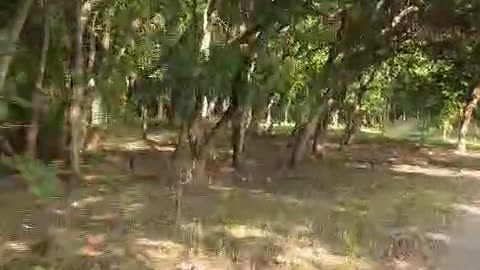 PICNIC SPOT