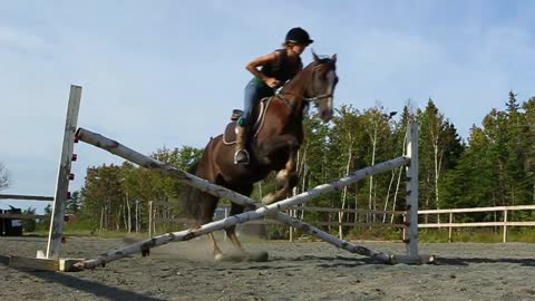 Woman jump horse over a fence (wide shot)