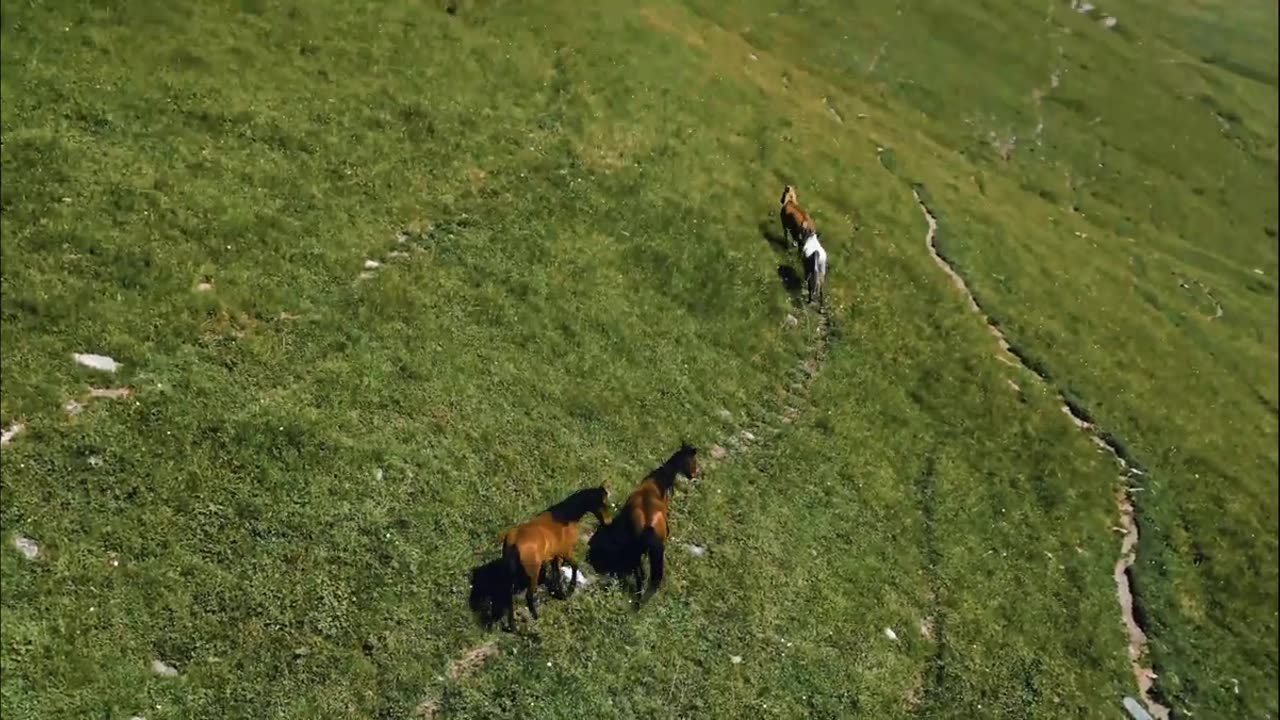 Relaxing Music & Amazing Beautiful Nature Scenery For Stress and Sleep video