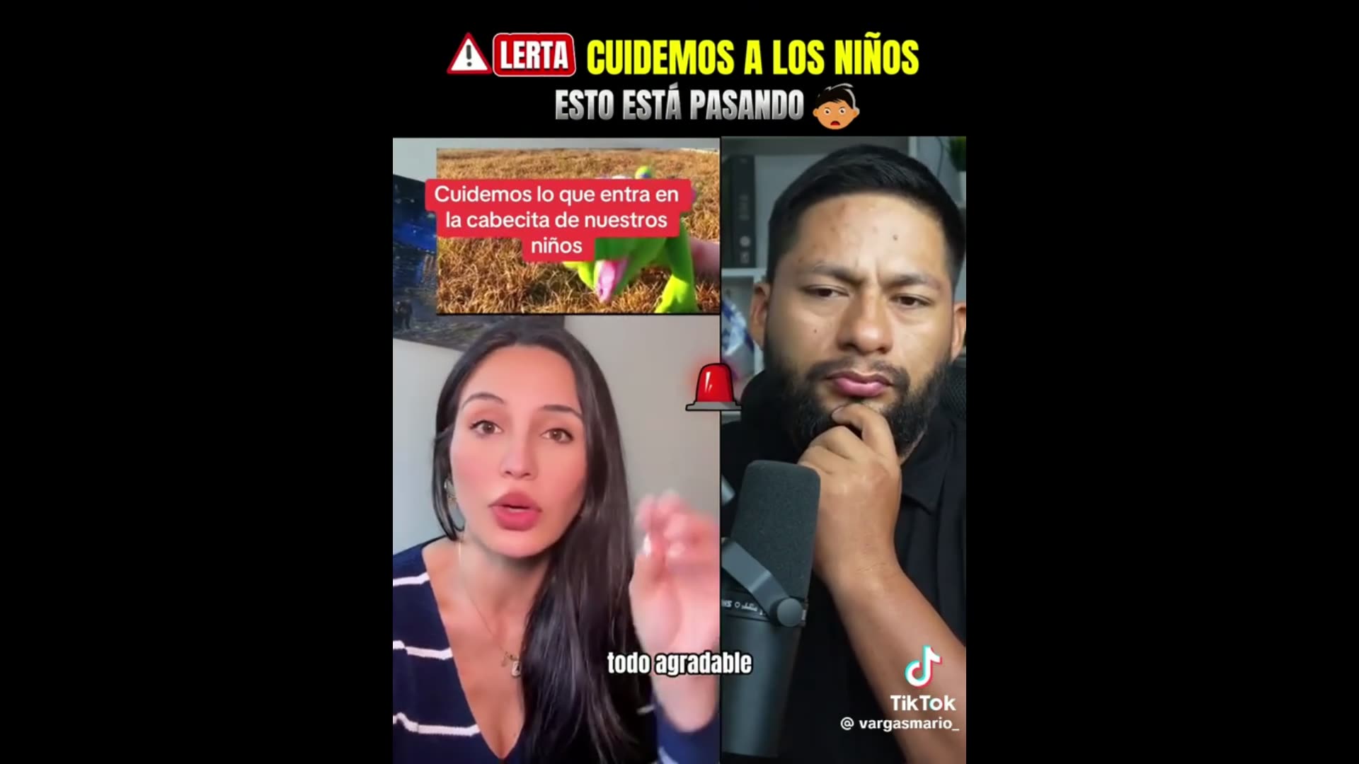 11/12/2024 Al medio dia.