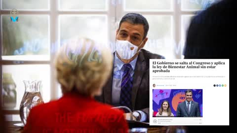 El Gobierno se salta al Congreso y aplica la ley de Bienestar Animal sin estar aprobada