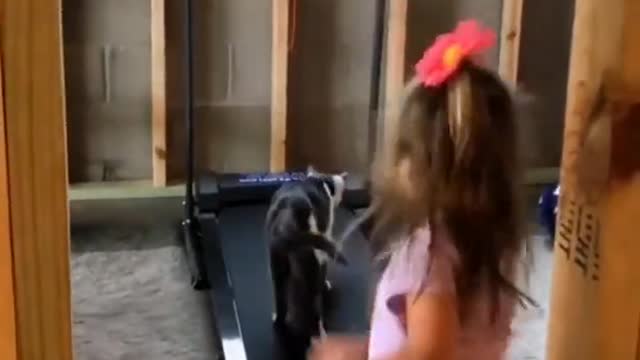 cat teaches a little girl how to use a treadmill