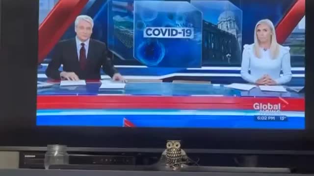 If people choose to not get tested for Covid