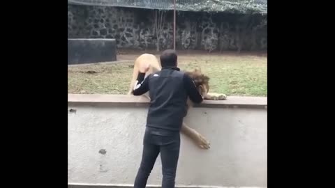 Animals Reunited With Owners AFTER YEARS!