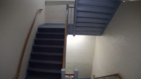 3881FHOB03Stair6_2021-01-06_13h20min01s170ms.mp4