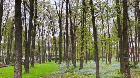 "Immerse Yourself in the Enchanting Wonders of the Jungle: A Riveting Nature Video Experience"