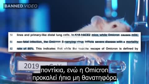 Αποκλειστικό ρεπορτάζ - Θα είναι η Βοστώνη η νέα Γουχάν;