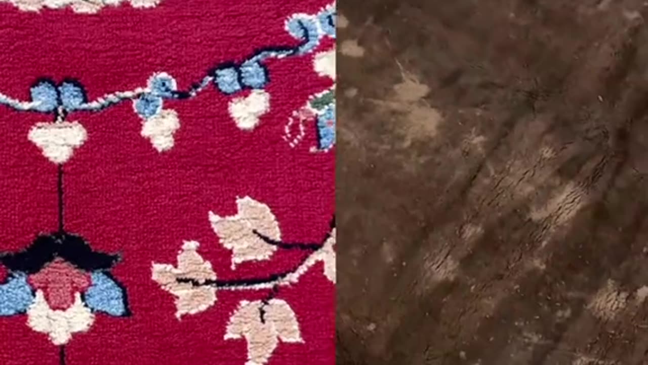 Cleaning dirty Rugs